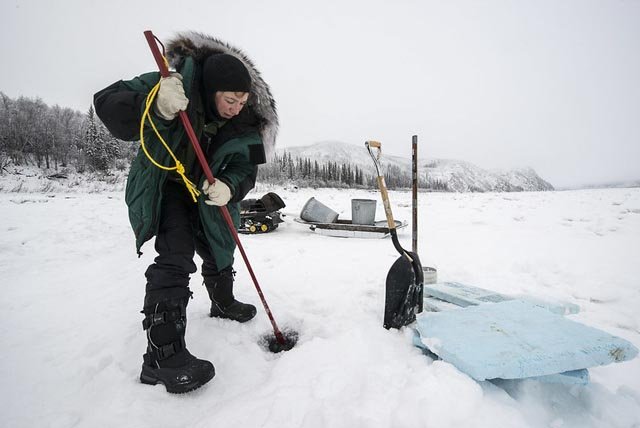 Quelles sont les compétences essentielles pour survivre par temps extrêmement froid ou chaud ?